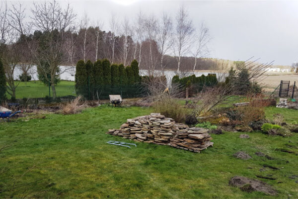 Ogród przed modernizacją - przed projektem modernizacji ogrodu identyfikujemy rosnące w nim rośliny.