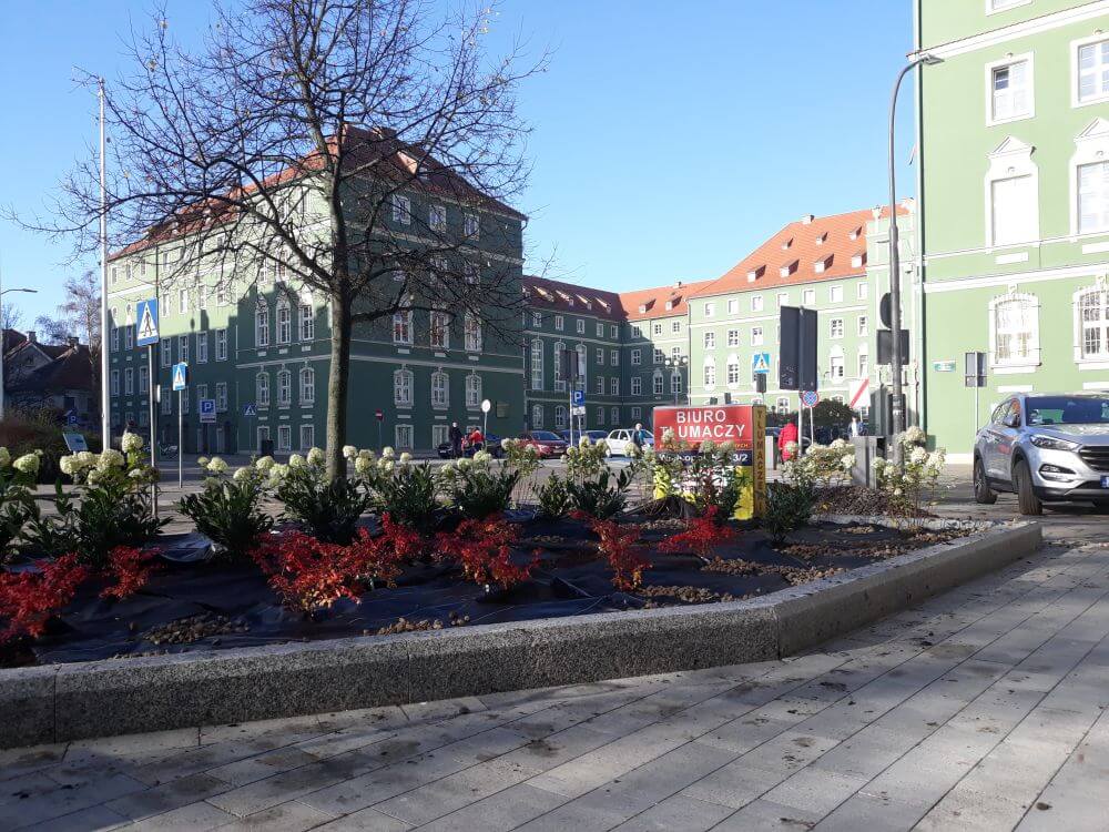 Nasza realizacja projektu zieleni w przestrzeni miejskiej przy al. Jana Pawła II w Szczecinie